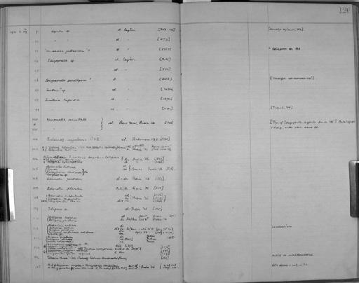 Cribrilina cartasae - Zoology Accessions Register: Bryozoa: 1922 - 1949: page 126