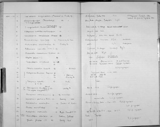 Aspidelectra melolontha (Busk) - Zoology Accessions Register: Bryozoa: 1971 - 1986: page 139