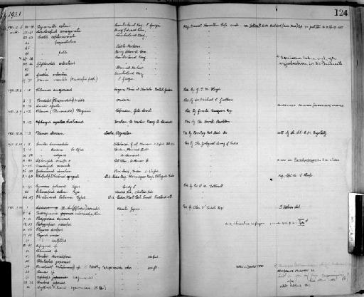 Siriella hanseni W. Tattersall, 1922 - Zoology Accessions Register: Crustacea: 1905 - 1935: page 124