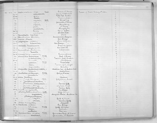 Odostomia major subterclass Tectipleura Melvill & Standen, 1901 - Zoology Accessions Register: Mollusca: 1900 - 1905: page 77