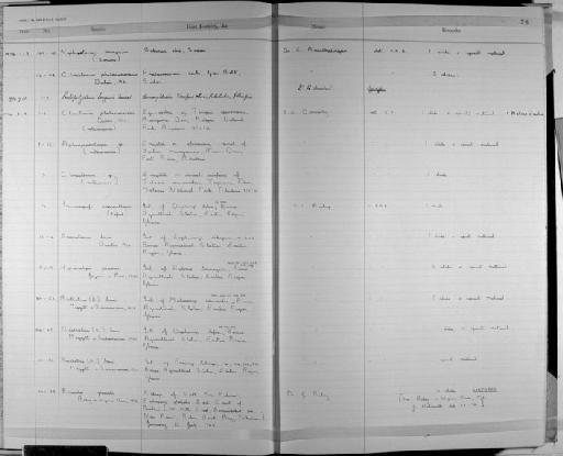 Protopolystoma langonia Meskal - Zoology Accessions Register: Platyhelminth: 1971 - 1981: page 28