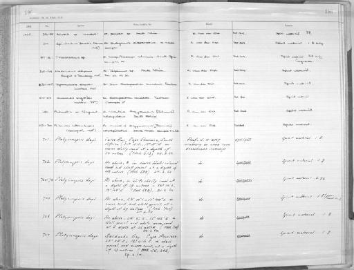 Platycomopsis dayi Coles, 1977 - Zoology Accessions Register: Aschelminth N3: 1954 - 1977: page 196