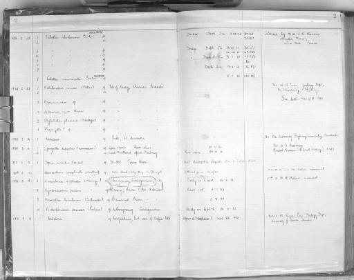 Spongilla lacustris (Linnaeus, 1759) - Zoology Accessions Register: Spongiida: 1938 - 1954: page 2