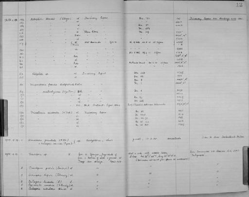 Tubulipora Lamarck, 1816 - Zoology Accessions Register: Bryozoa: 1950 - 1970: page 12