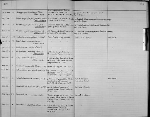 Campylaspides platycarpus Jones - Zoology Accessions Register: Crustacea: 1976 - 1984: page 218