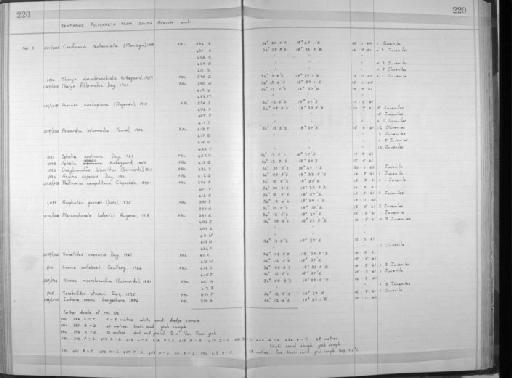 Lanice wollebaeki Caullery, 1944 - Zoology Accessions Register: Annelida: 1936 - 1970: page 220