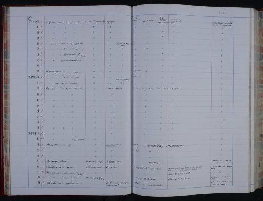 Prodeshayesites fissicostatus (Phillips) - NHM-UK_P_DF118_06_32_0029