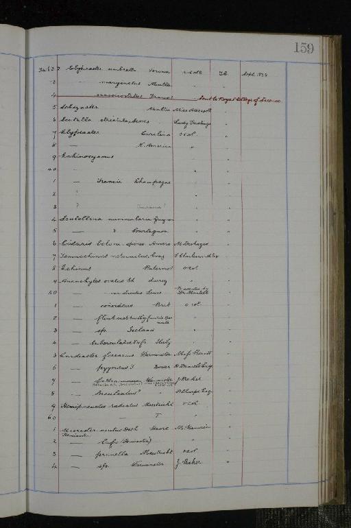 Equus stenonis Cocchi, 1867 - NHM-UK_P_DF118_02_02_0319