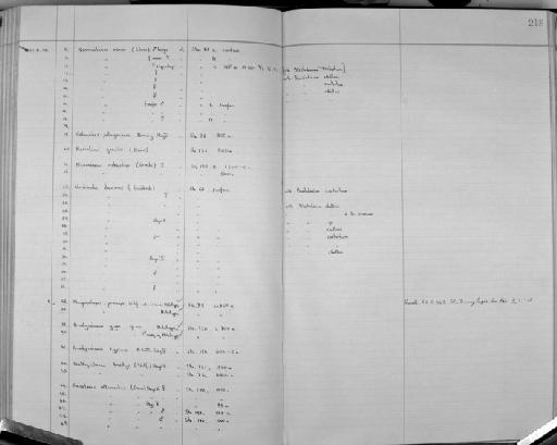 Neocalanus robustior (Giesbrecht, 1888) - Zoology Accessions Register: Crustacea (Entomostraca): 1938 - 1963: page 218