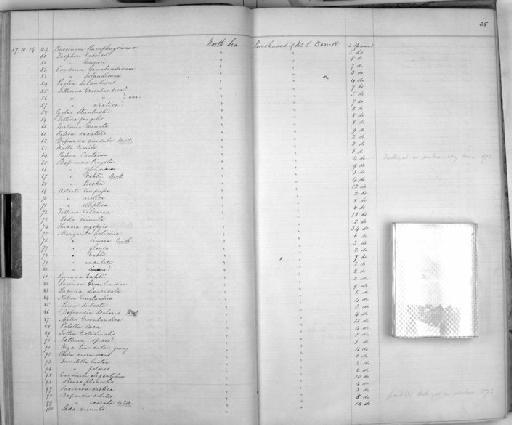 Lottia testudinalis (O. F. Müller, 1776) - Zoology Accessions Register: Mollusca: 1857 - 1860: page 35