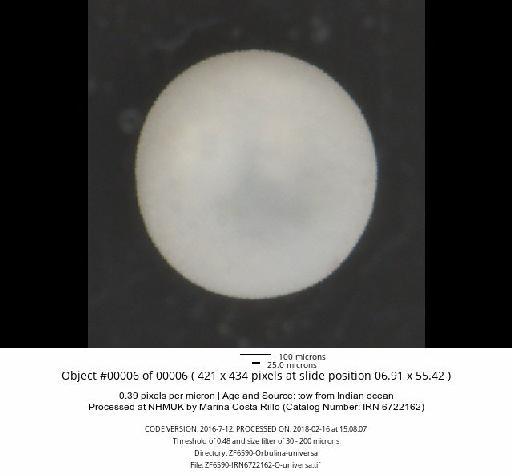 Orbulina universa Orbigny, 1839 - ZF6590-2-Orbulina-universa_obj00006_plane000.jpg