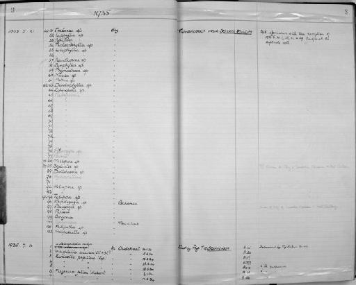 Phyllastraea Dana, 1846 - Zoology Accessions Register: Coelenterata: 1934 - 1951: page 3