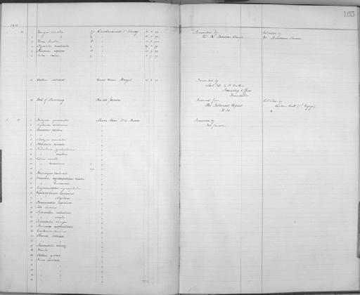 Chlorostilbon lucidus pucherani - Zoology Accessions Register: Aves (Skins): 1900 -1902: page 165