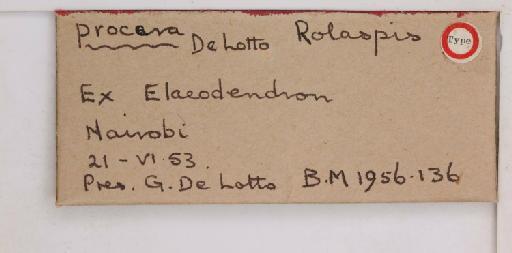 Rolaspis procera De Lotto, 1956 - 010714454_additional