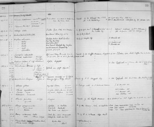 Thalamita malaccensis subsection Heterotremata section Eubrachyura Gordon, 1938 - Zoology Accessions Register: Crustacea: 1935 - 1962: page 22