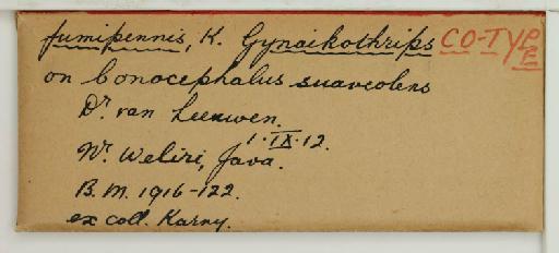 Liothrips fumipennis (Karny, 1913) - 014257336_additional