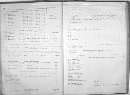 Thryssa hamiltoni Gray, 1835 - Zoology Accessions Register: Fishes: 1971 - 1985: page 191