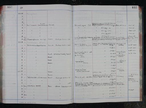 Buliminoides williamsonianus (Brady, 1881) - NHM-UK_P_DF118_04_16_0327