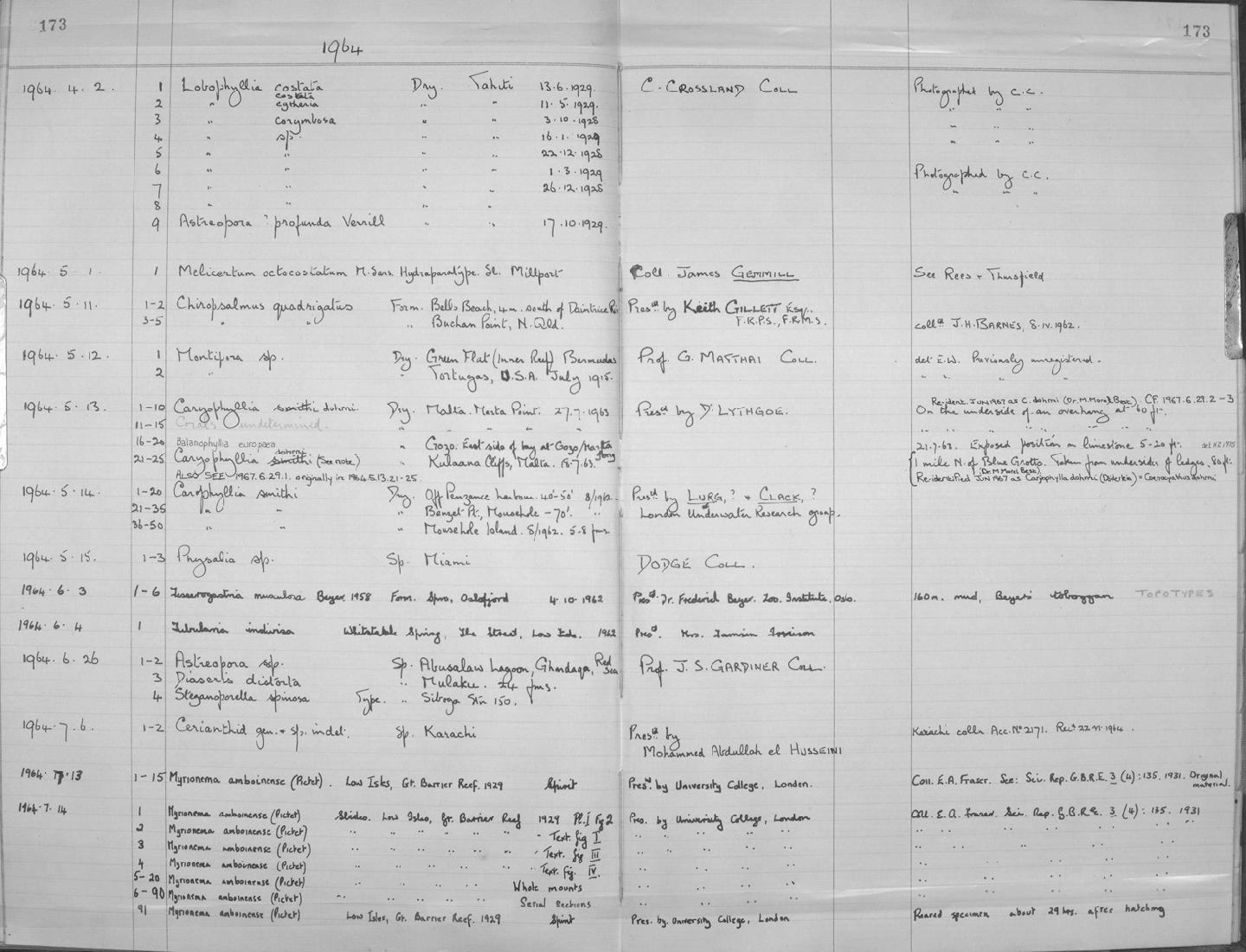 Zoology Accessions Register: Coelenterata: 1958 - 1964: page 173