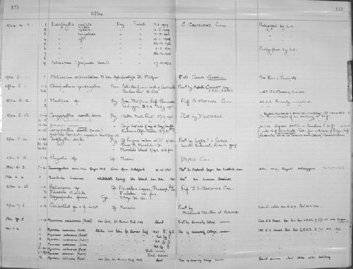 Steganopora spinosa Hickson & England, 1905 - Zoology Accessions Register: Coelenterata: 1958 - 1964: page 173