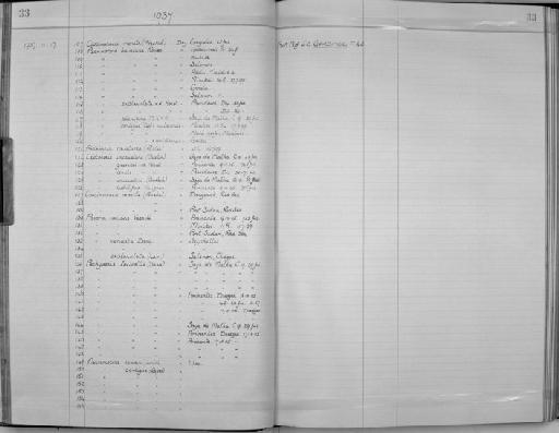 Pavona venusta Dana, 1846 - Zoology Accessions Register: Coelenterata: 1934 - 1951: page 33