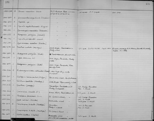 Caprella parvorder Caprellidira - Zoology Accessions Register: Crustacea: 1976 - 1984: page 131