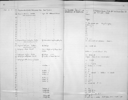Gorgonia darwinii var. var. douglasii Hickson, 1928 - Zoology Accessions Register: Coelenterata: 1958 - 1964: page 98