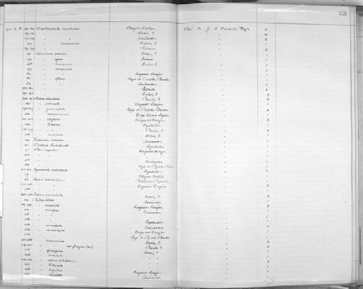 Mitra columbelliformis - Zoology Accessions Register: Mollusca: 1906 - 1911: page 121