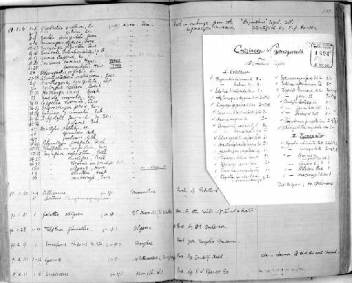 Sabinea carcinata Sabine - Zoology Accessions Register: Crustacea: 1876 - 1905: page 132