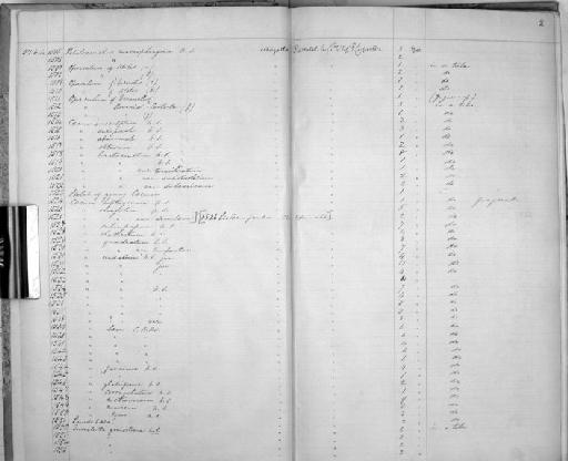 Caecum elongatum Carpenter, 1857 - Zoology Accessions Register: Mollusca: 1857 - 1860: page 2