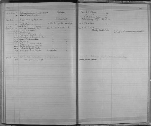 Leptasterias vancouveri (Perrier, 1875) - Zoology Accessions Register: Annelida & Echinoderms: 1884 - 1923: page 198