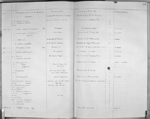 Cyclophorus speciosus (Philippi, 1847) - Zoology Accessions Register: Mollusca: 1925 - 1937: page 64