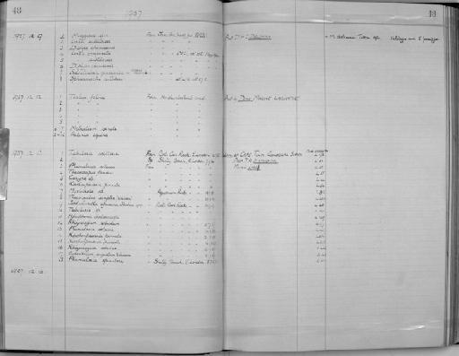 Tubularia solitaria Rapp, 1829 - Zoology Accessions Register: Coelenterata: 1934 - 1951: page 48