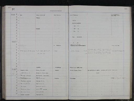 Equus sp. - NHM-UK_P_DF118_03_36_0237