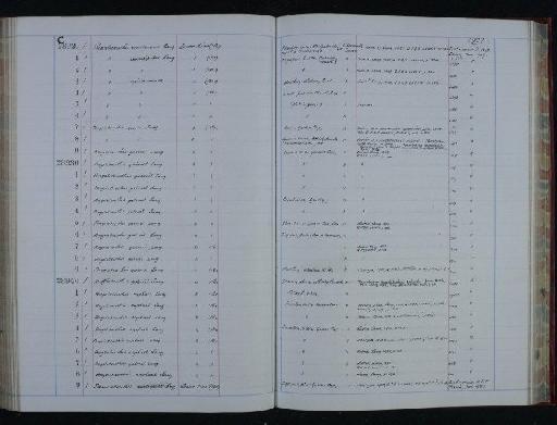 Passaloteuthis ridgensis Lang, 1928 - NHM-UK_P_DF118_06_32_0309