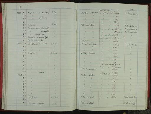 Gagaticeras Buckman, 1913 - NHM-UK_P_DF118_06_41_0053