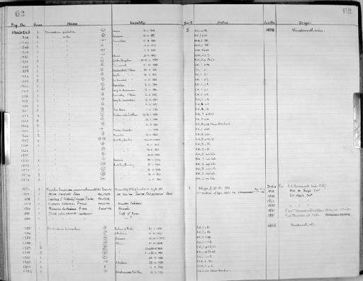 Mopalia hindsi recurvans Barnawell, 1960 - Zoology Accessions Register: Mollusca: 1956 - 1978: page 62