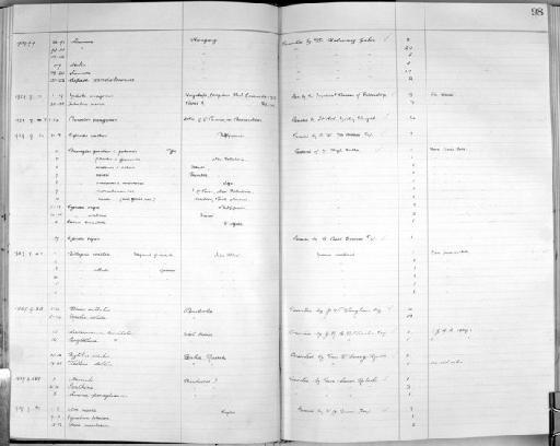 Placostylus savesi subterclass Tectipleura Crosse, 1886 - Zoology Accessions Register: Mollusca: 1925 - 1937: page 98