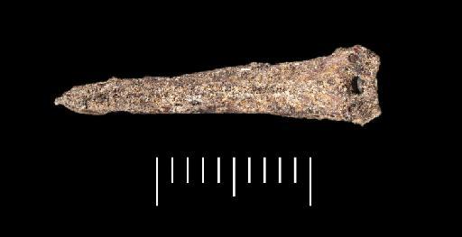 Oreochromis niloticus (Linnaeus, 1758) - NHMUK PV P 76389 Tabun fish spine (view 1)