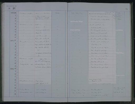 Aceratherium campbelli Hamilton, 1973 - NHM-UK_P_DF118_03_37_0023