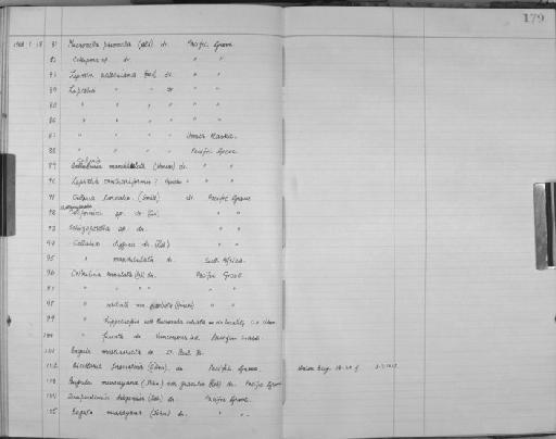 Cribrilina annulata Fabricius - Zoology Accessions Register: Bryozoa: 1950 - 1970: page 179