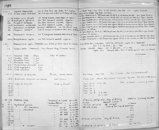 Myctophum macrochir - Zoology Accessions Register: Fishes: 1986 - 1994: page 81