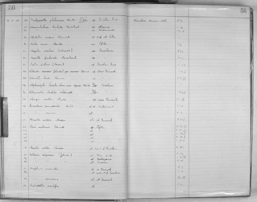 Stylocordyla borealis typica Burton, 1931 - Zoology Accessions Register: Spongiida: 1929 - 1938: page 56