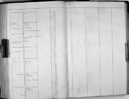 Euplectes hordeaceus sylvatica - Zoology Accessions Register: Aves (Skins): 1909 - 1911: page 146D