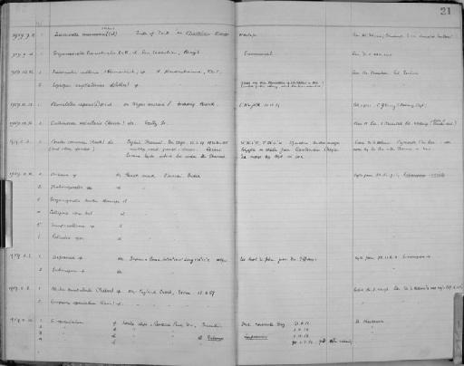 Steganoporella buskii Harmer, 1900 - Zoology Accessions Register: Bryozoa: 1950 - 1970: page 21