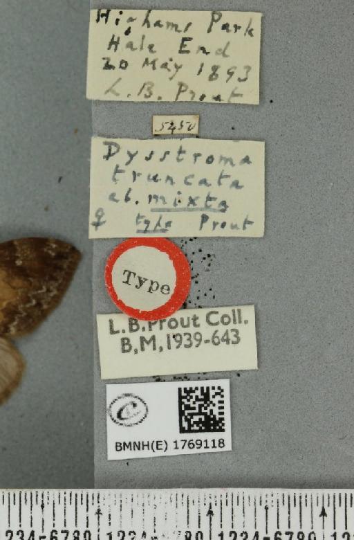 Dysstroma truncata truncata ab. mixta Prout, 1909 - BMNHE_1769118_label_350041