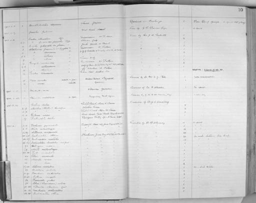 Clathurina spanionema Melvill, 1917 - Zoology Accessions Register: Mollusca: 1925 - 1937: page 10