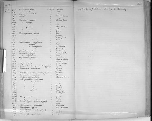Oxyloricaria tamanae Regan, 1912 - Zoology Accessions Register: Reptiles & Fishes: 1904 - 1925: page 230