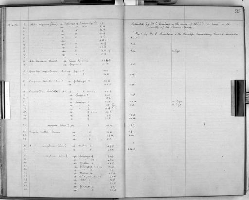 Aetea anguina (Linnaeus, 1758) - Zoology Accessions Register: Bryozoa: 1922 - 1949: page 33