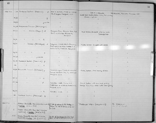 Achaeus tenuicollis subsection Heterotremata section Eubrachyura Miers, 1886 - Zoology Accessions Register: Crustacea: 1962 - 1969: page 42